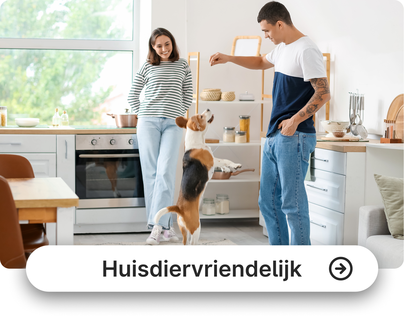 Pet Friendly