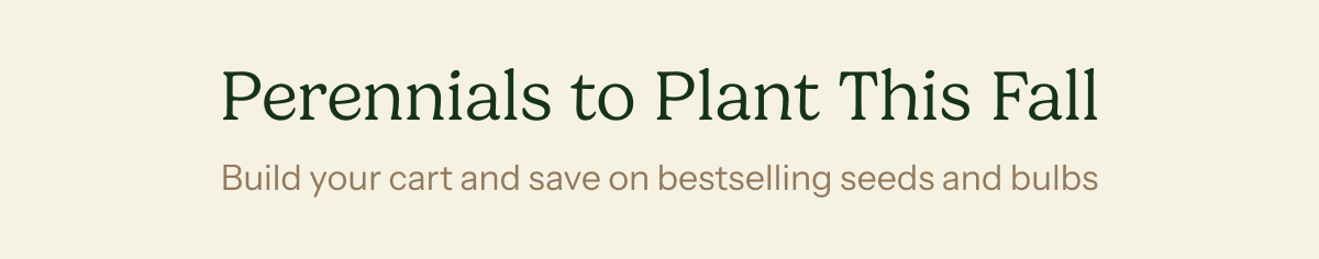 Perennials to Plant This Fall