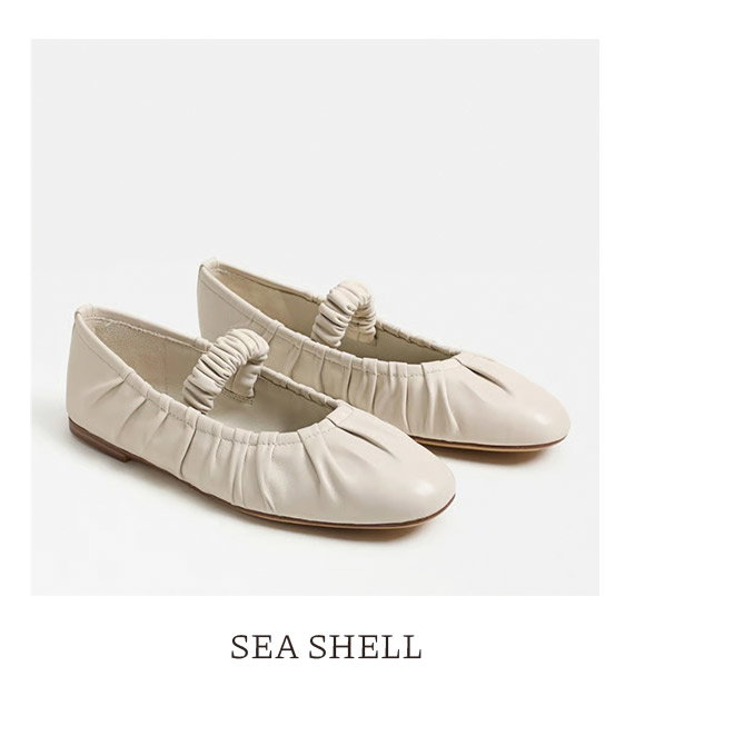 Sea Shell
