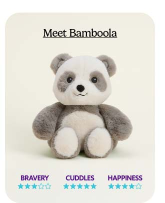 Shop Bamboola