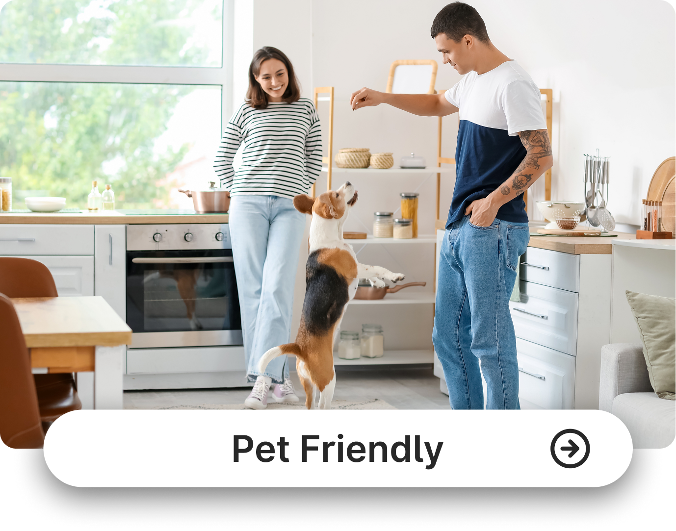 Pet Friendly