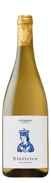 Toscana IGT Chardonnay Elettrice 2021 