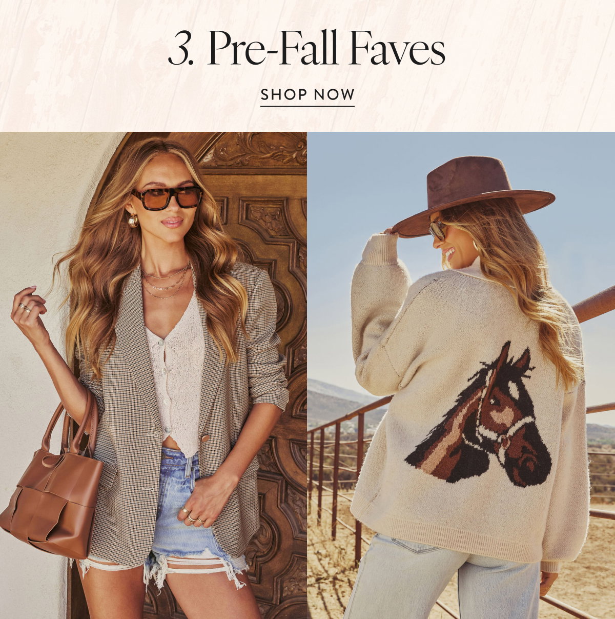 Shop Pre-Fall Faves