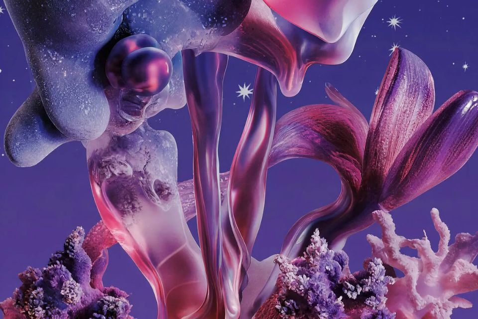 close up visual