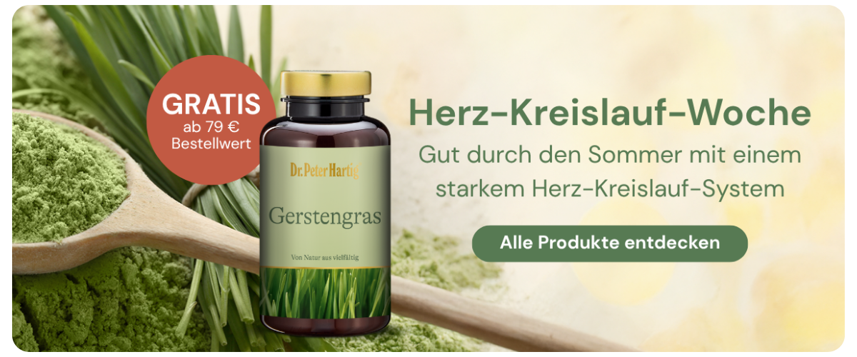 Herz & Kreislauf