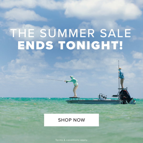 The Summer Sale ends tonight!