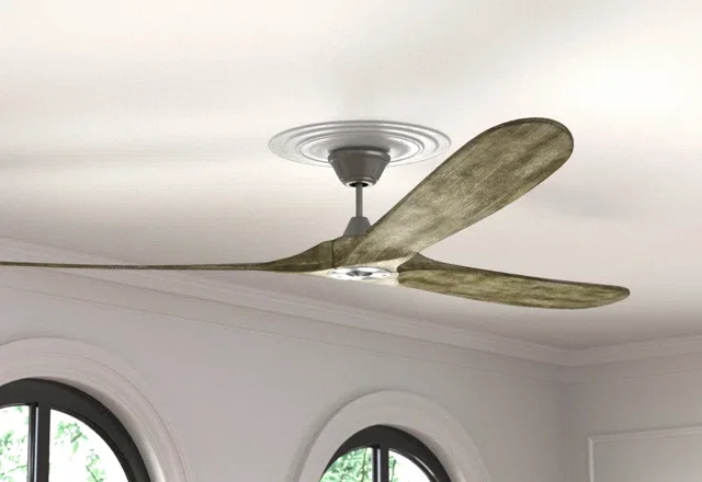Want-List Ceiling Fans