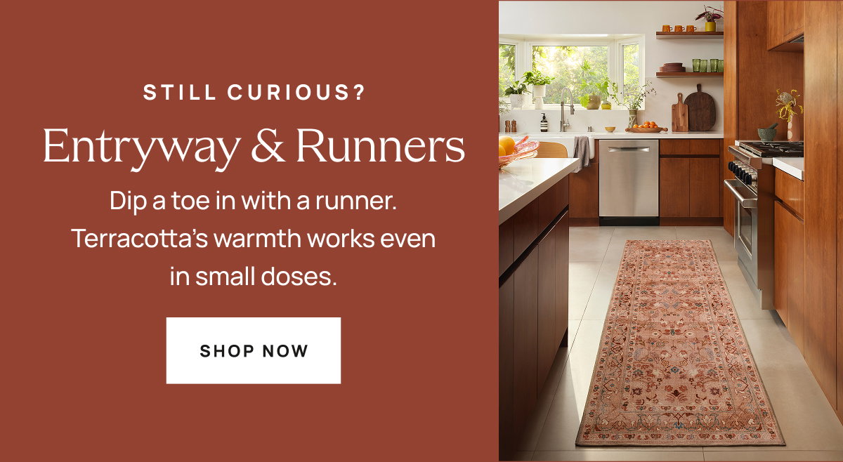 Shop Entryway Runners 