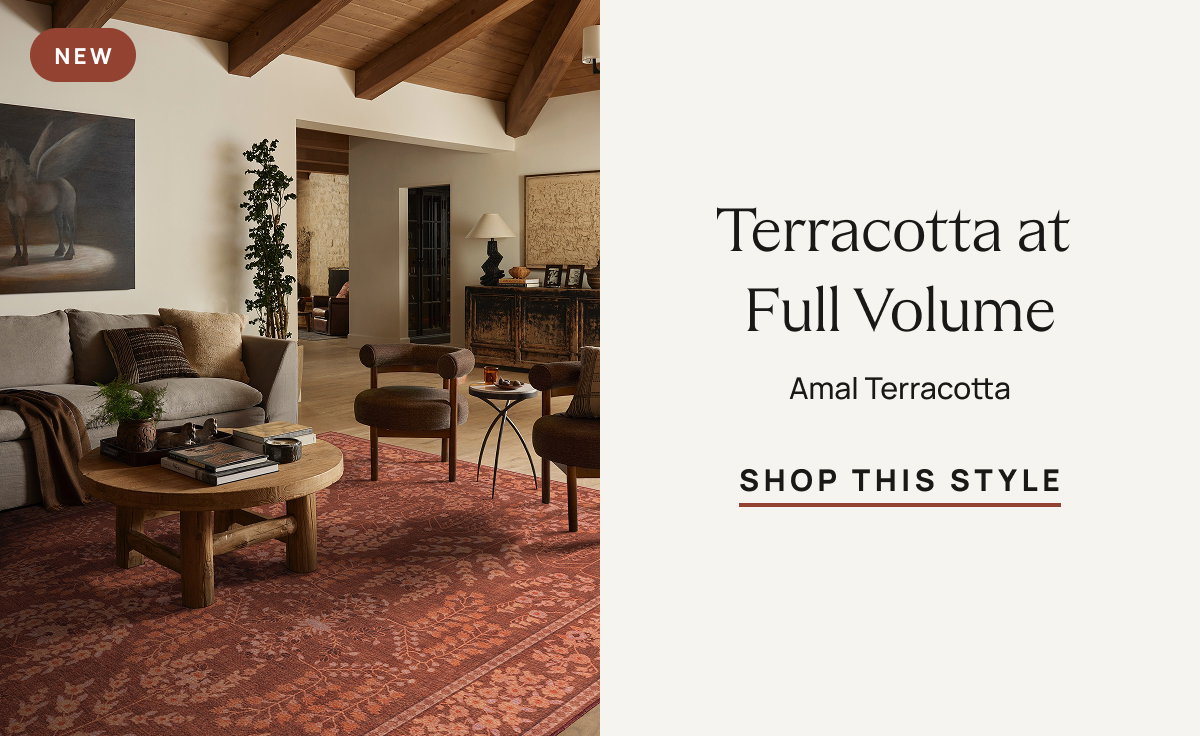 Amal Terracotta | Shop This Style 