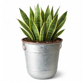 38cm Galvanised Steel & Copper Rim Effect Bucket Planter (32L)