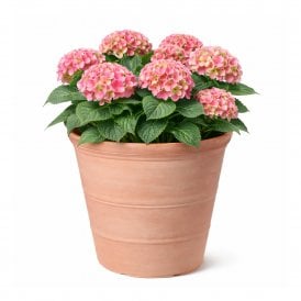 47cm Rustic Terracotta Effect Round Planter (41L)