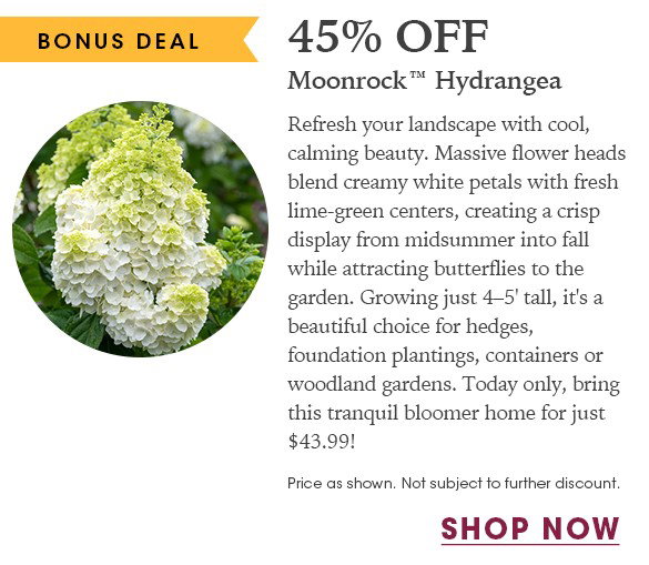 FINAL HOURS: Up to 20% OFF Perennials + Free Shipping on $150+