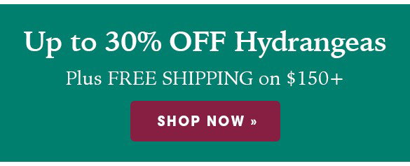 FINAL HOURS: Up to 20% OFF Perennials + Free Shipping on $150+