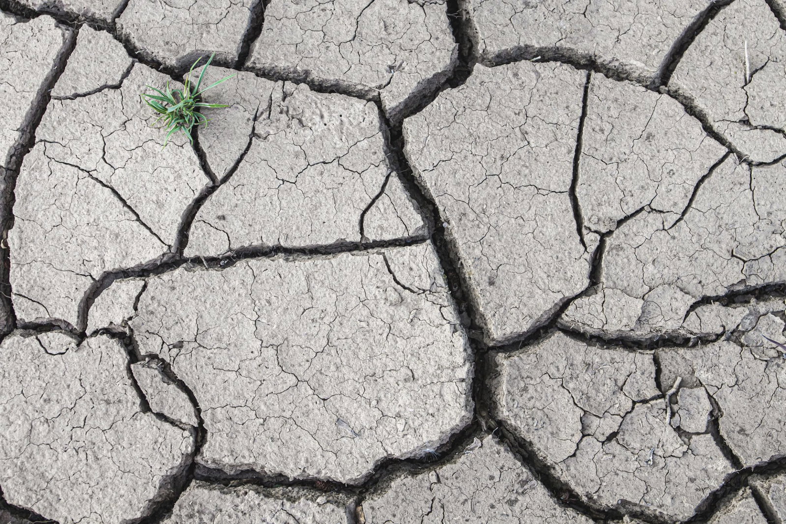 De la terre craquelée en raison de la sécheresse (Getty Images)