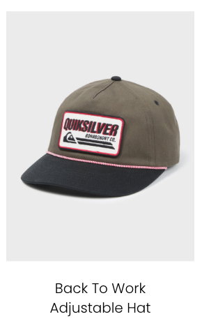 Back To Work Adjustable Hat