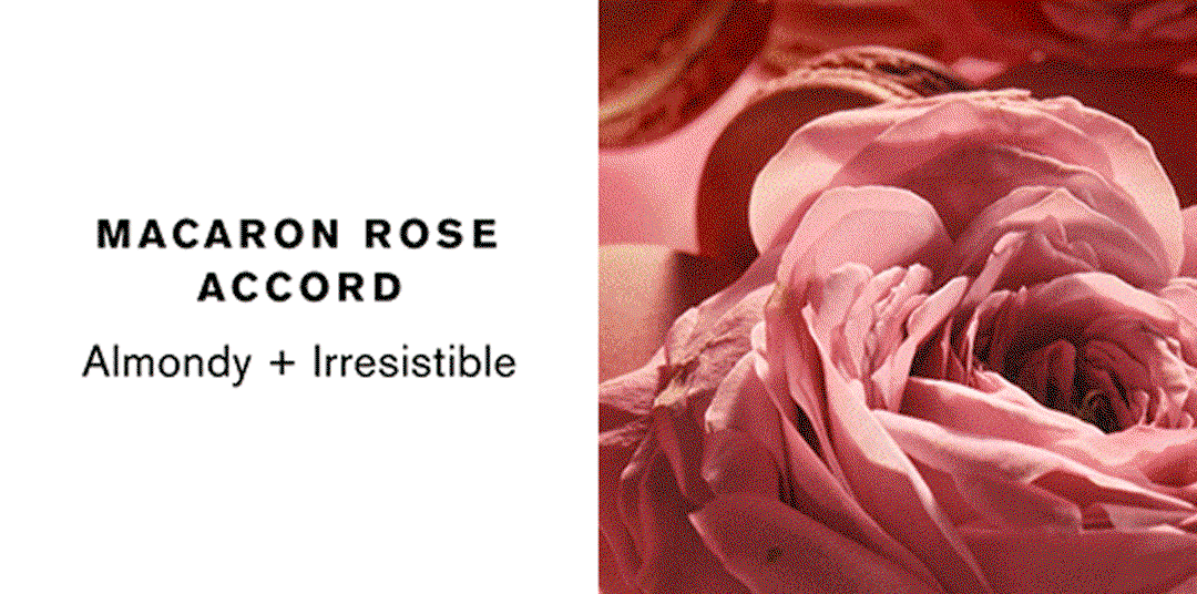 MACARON ROSE ACCORD | Almondy + Irresistible