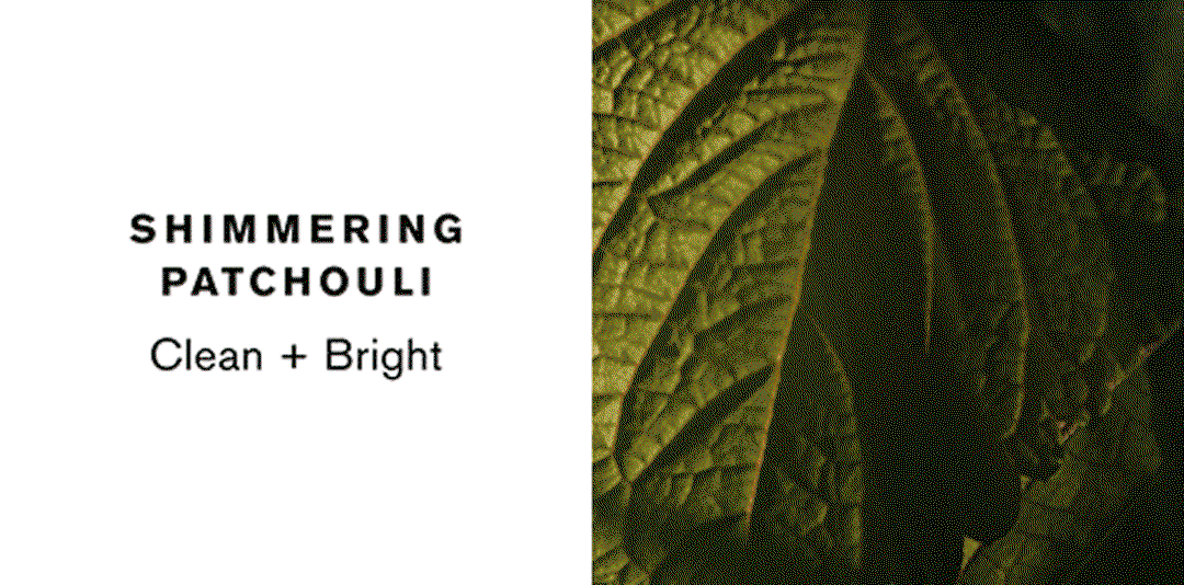 SHIMMERING PATCHOULI | Clean + Bright