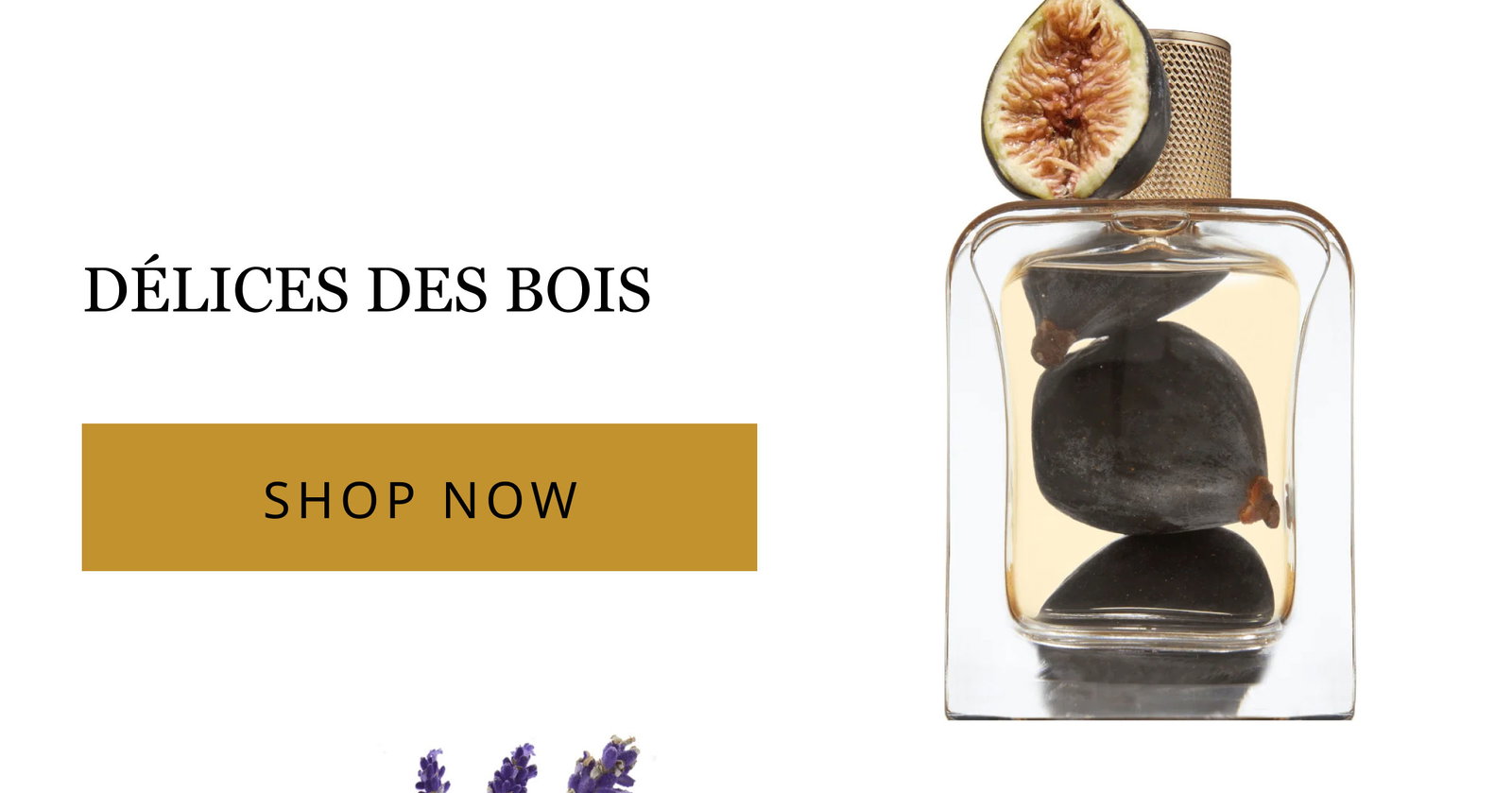 Délices des Bois Shop Now