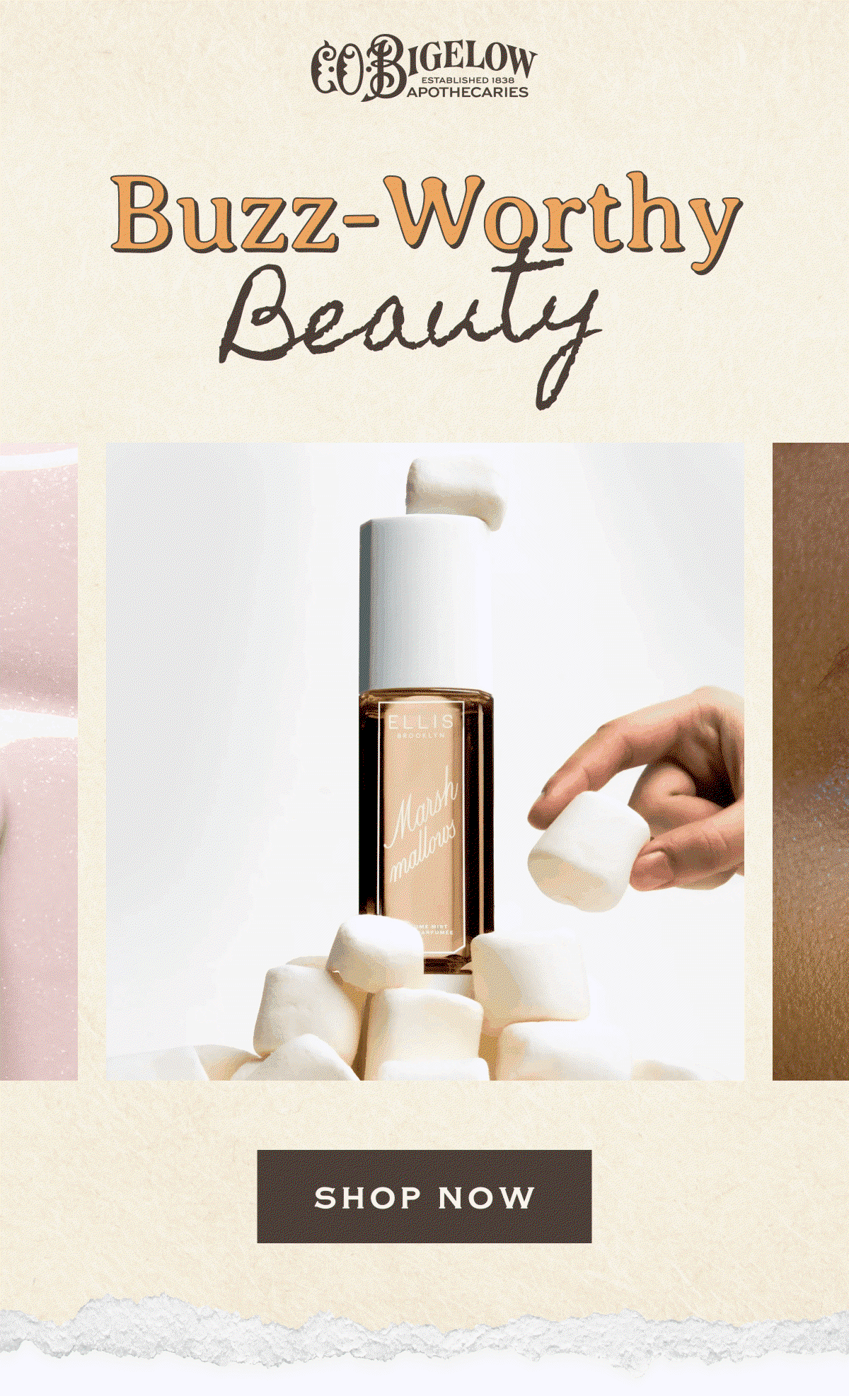 Buzz-Worthy Beauty | SHOP NOW