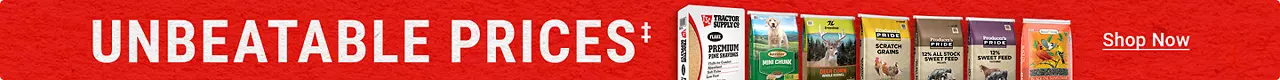 UnbeatableBanner