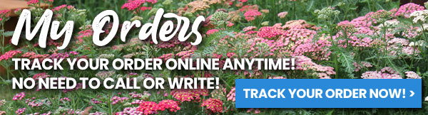 Track Your Order