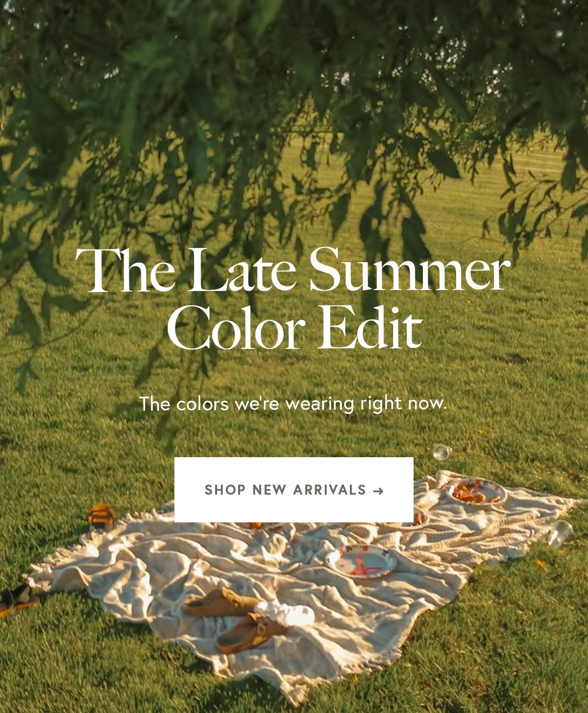 The Late Summer Color Edit