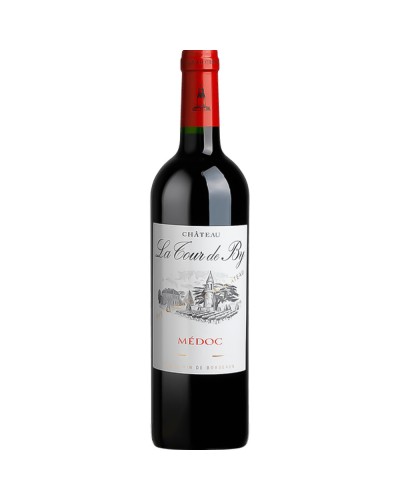 Chateau la Tour de by Medoc 2022