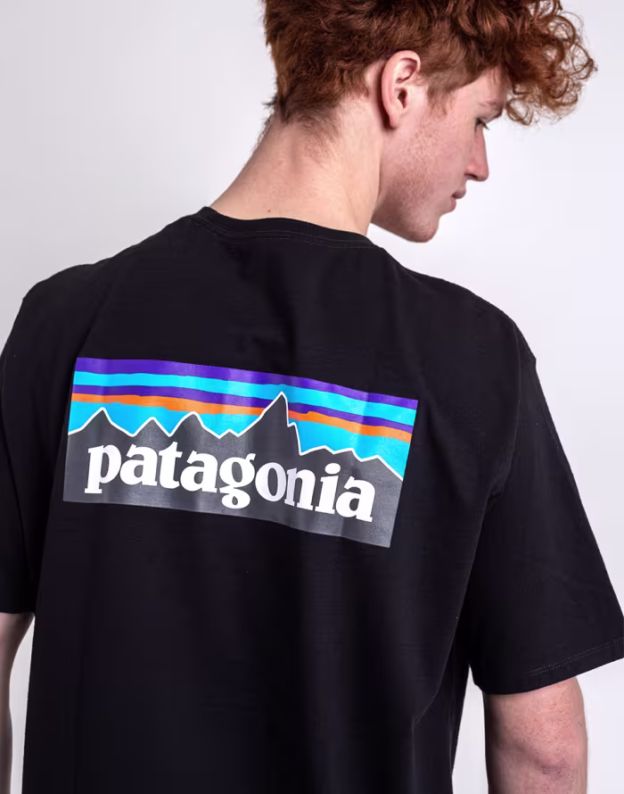 Patagonia M's L/S P-6 Logo Responsibili-Tee®