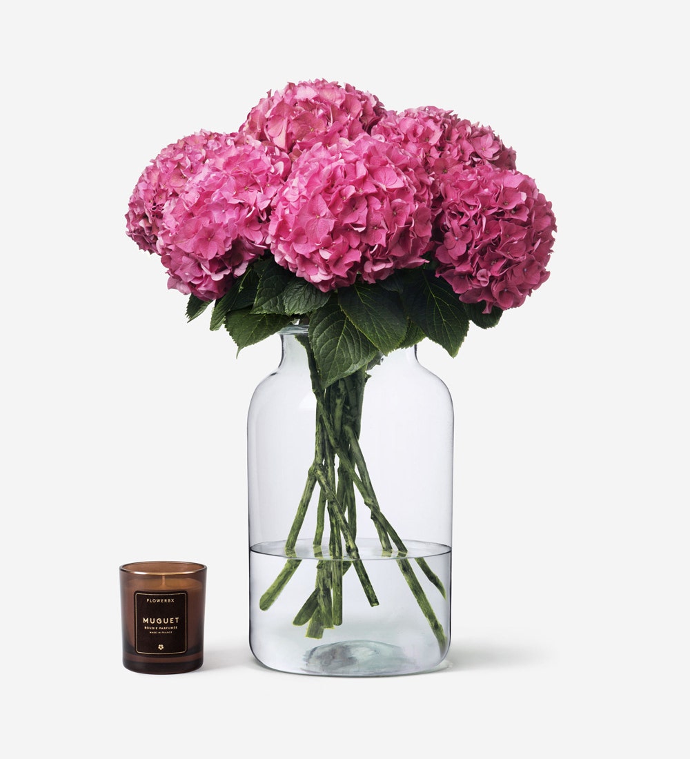 Hydrangeas