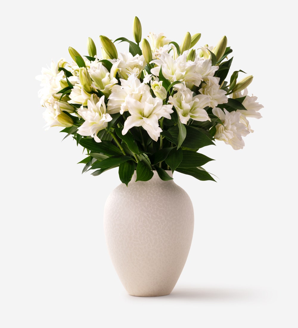Roselily