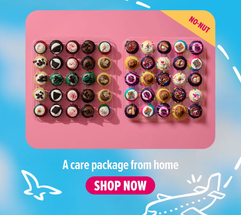 A care package from home! Shop the no nut all the flavors cupcake 50-Pack now.