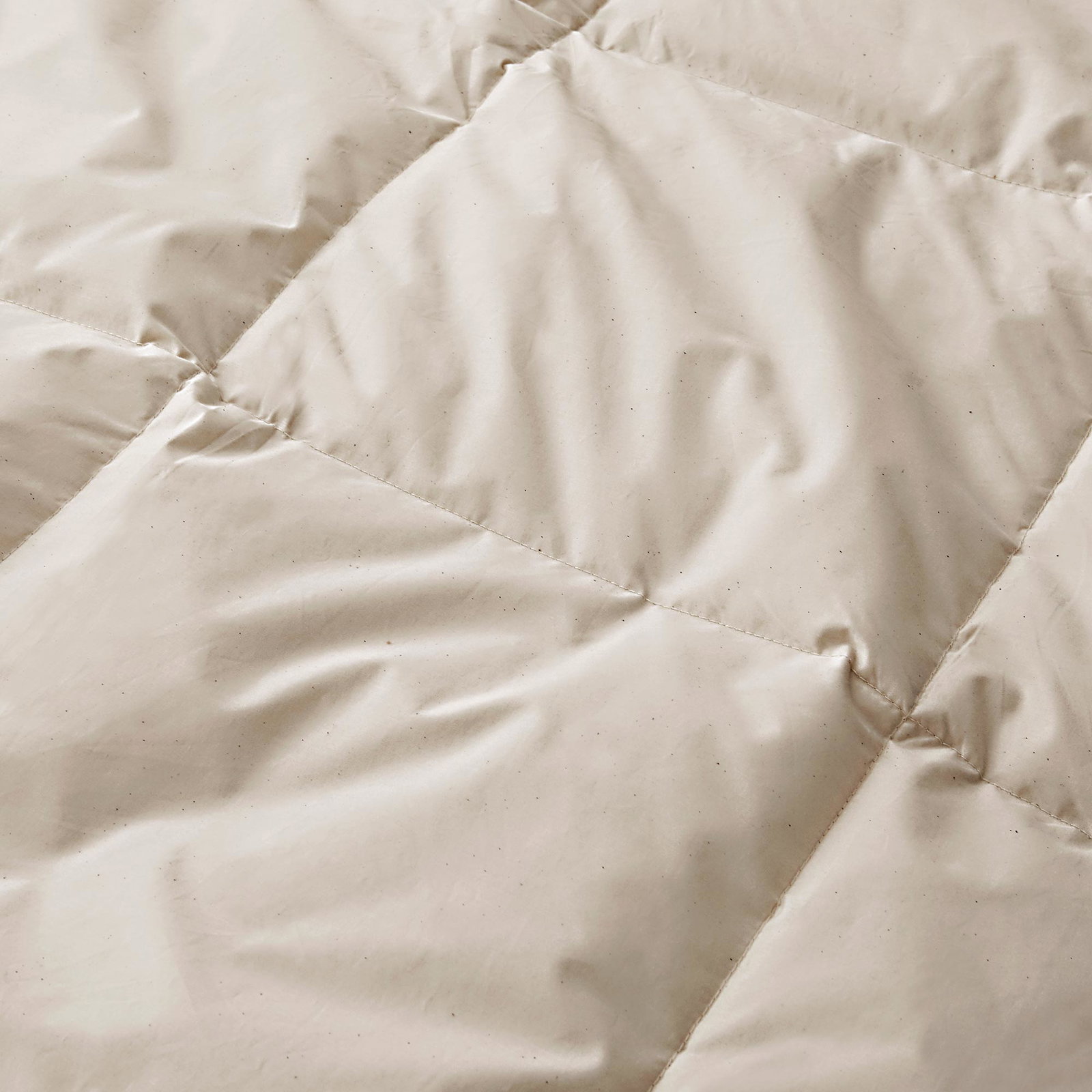 Organic Cotton Comforter