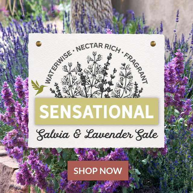 Save Up To 10%