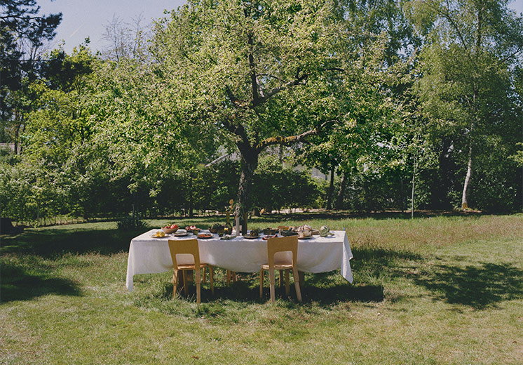 Shop Tableware