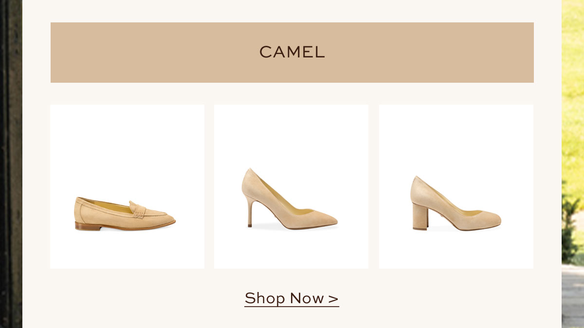 CAMEL
