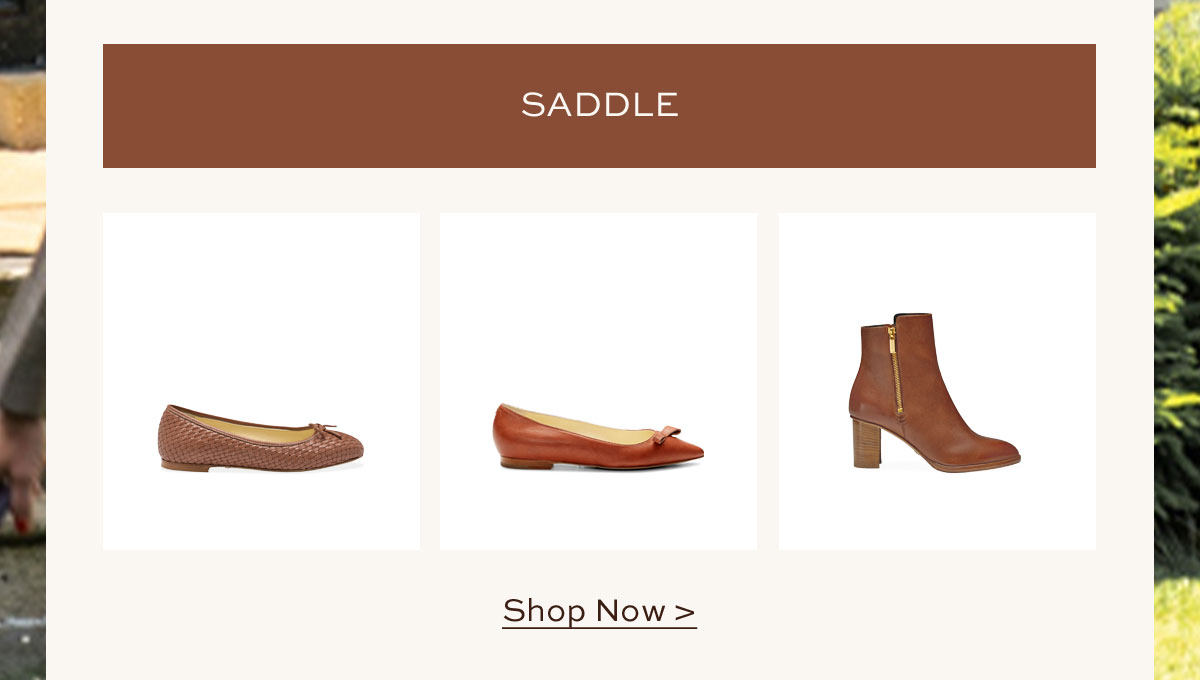 SADDLE