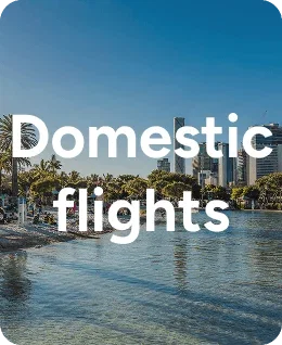 Domestic Flights 