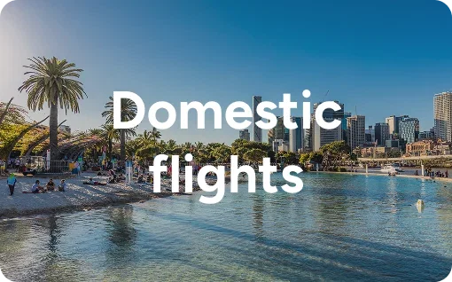 Domestic Flights 