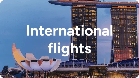 International Flights 