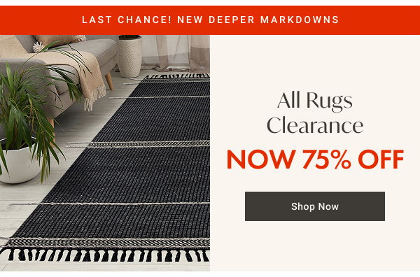 All Rugs Clearance: Now 75% OFF - Shop Now