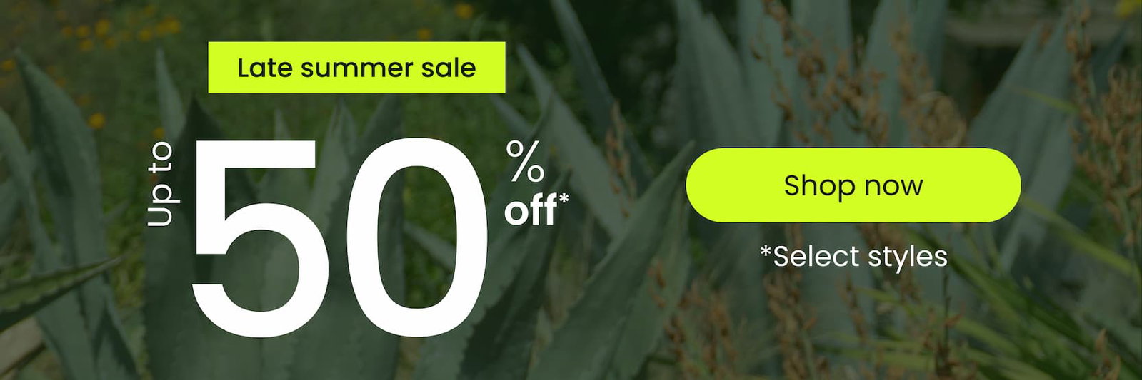 [ SHOP NOW ]