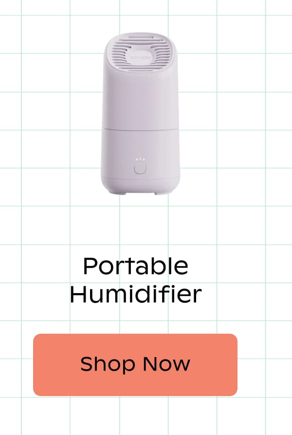 Portable Humidifier | Shop Now