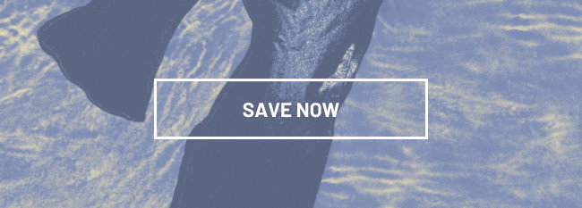 Save Now