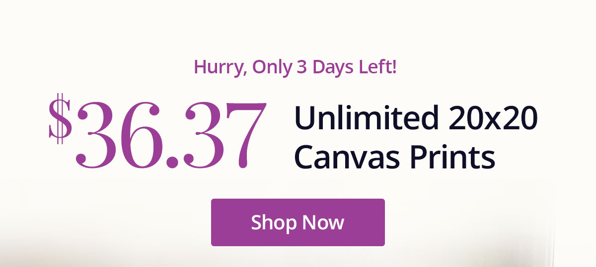 Hurry, only 3 days left! Unlimited 20x20 Canvas Prints for $36.37 each! Shop Now