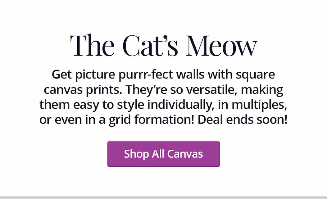 Get picture-perfect walls with square canvas prints. They're so versatile, making them easy to style individually, in multiples, or even in a grid formation! Deal ends soon! Shop All Canvas