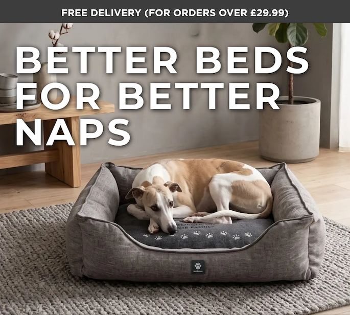 Better Beds for Better Naps