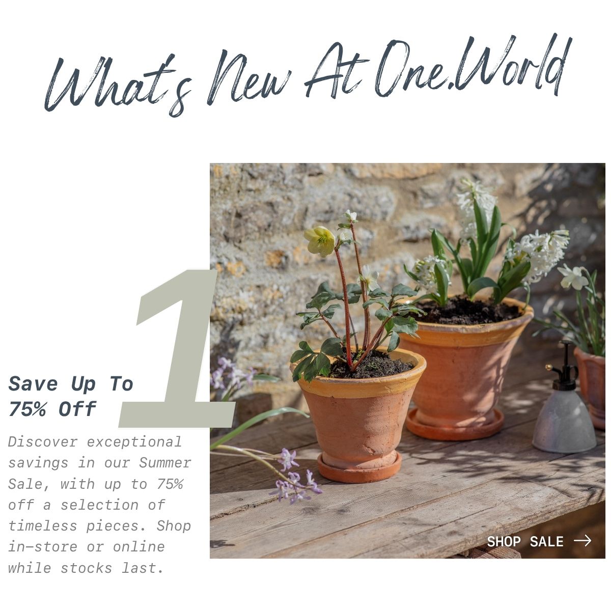 Save Up To 75% Off - Summer Sale