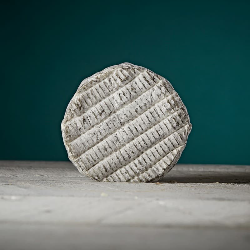 Carboncino