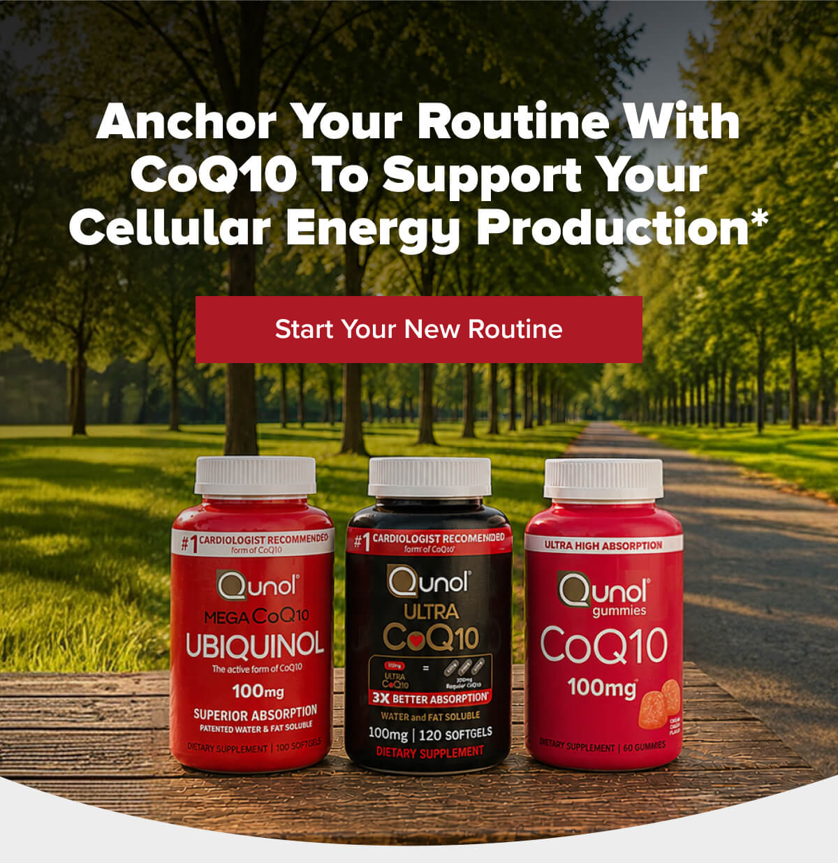 3 Supplements Image| Start Your New Routine