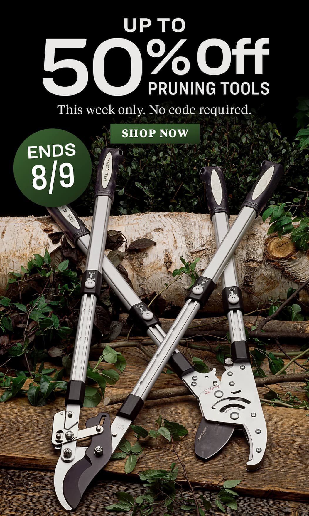 Pruning Sale